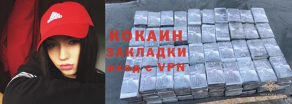 шишки Балахна