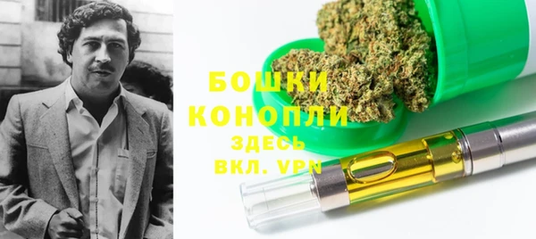 шишки Балахна