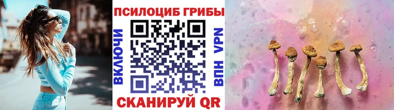 OMG как войти  Обоянь  Псилоцибиновые грибы мухоморы 